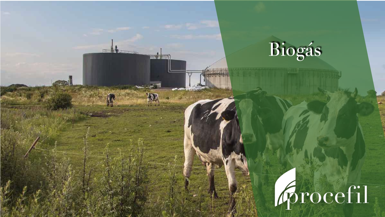 Biogas y la solución en filtración de gases