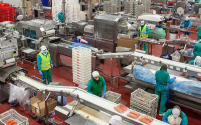 ¿Cómo garantizar seguridad, cumplimiento normativo y eficiencia en el procesamiento de alimentos?