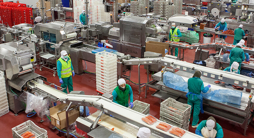¿Cómo garantizar seguridad, cumplimiento normativo y eficiencia en el procesamiento de alimentos?
